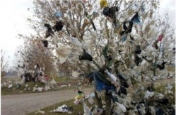 Sénégal-UGB : Des scientifiques soulignent les dangers du péril plastique sur l’environnement. Sénégal-UGB : Des scientifiques soulignent les dangers du péril plastique sur l’environnement.