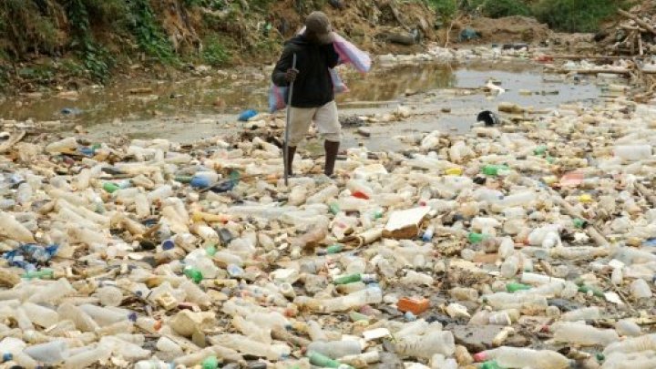 La difficile lutte contre le "péril plastique"