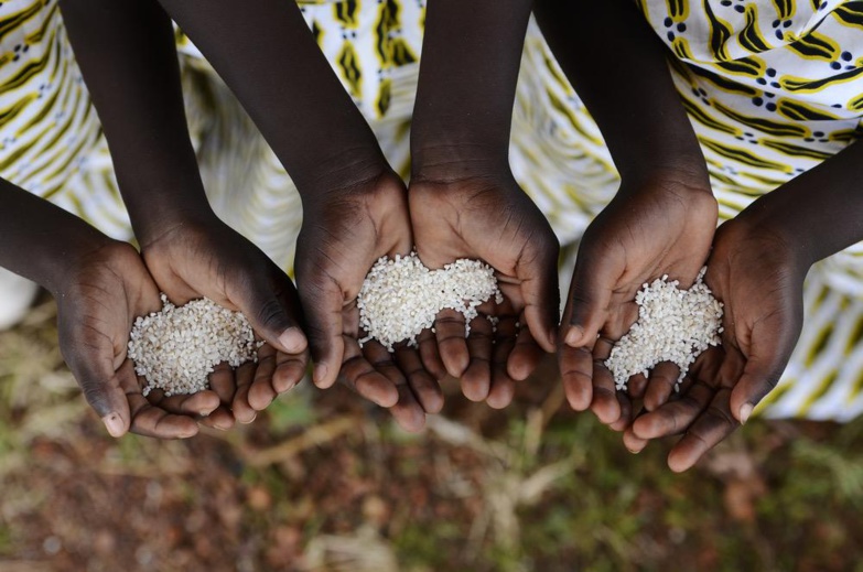 Une enveloppe de 17 milliards pour améliorer la sécurité alimentaire en Afrique