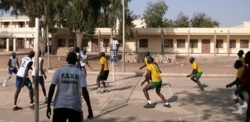Volley Ball : Le Saint-Louis Volley se ressaisi, l’UGB encore battu. Volley Ball : Le Saint-Louis Volley se ressaisi, l’UGB encore battu.
