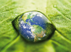 Saint-Louis, première ville africaine hôte d'un Conseil d'administration de Wetlands international. Saint-Louis, première ville africaine hôte d'un Conseil d'administration de Wetlands international.