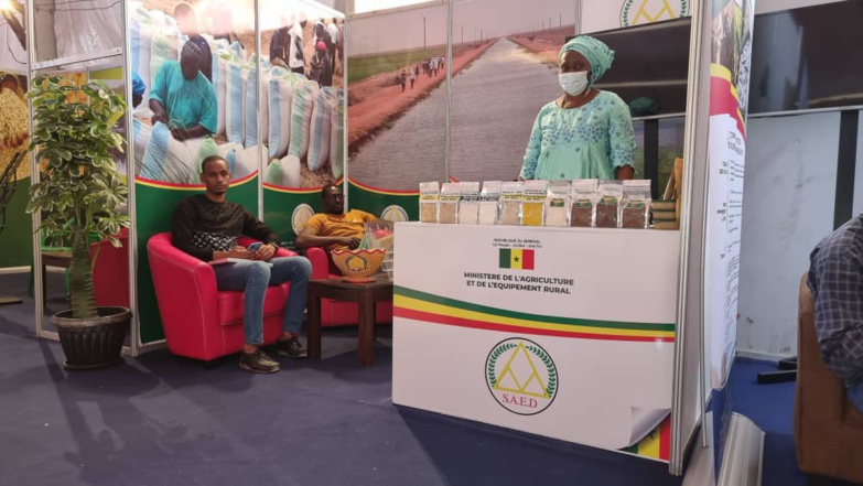 FIARA 2021 – la SAED expose les opportunités d’investissements et d’emplois le long des chaînes de valeurs agricoles FIARA 2021 – la SAED expose les opportunités d’investissements et d’emplois le long des chaînes de valeurs agricoles