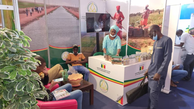 FIARA 2021 – la SAED expose les opportunités d’investissements et d’emplois le long des chaînes de valeurs agricoles FIARA 2021 – la SAED expose les opportunités d’investissements et d’emplois le long des chaînes de valeurs agricoles