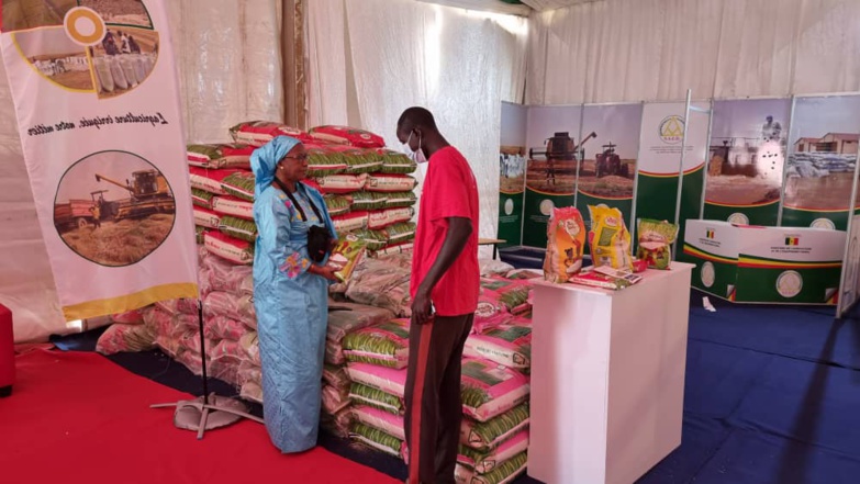 FIARA 2021 – la SAED expose les opportunités d’investissements et d’emplois le long des chaînes de valeurs agricoles FIARA 2021 – la SAED expose les opportunités d’investissements et d’emplois le long des chaînes de valeurs agricoles