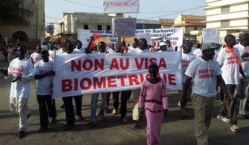 Saint-Louis : Grogne des hôteliers contre le visa biométrique. Saint-Louis : Grogne des hôteliers contre le visa biométrique.