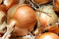 Le prix de l'oignon sera fixé à un niveau acceptable (ministre) Le prix de l'oignon sera fixé à un niveau acceptable (ministre)