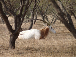 Connais-tu la réserve Spéciale de Faune de Gueumbeul ?