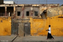 Sénégal- Chômage : Saint-Louis et Diourbel en tête. (Étude)