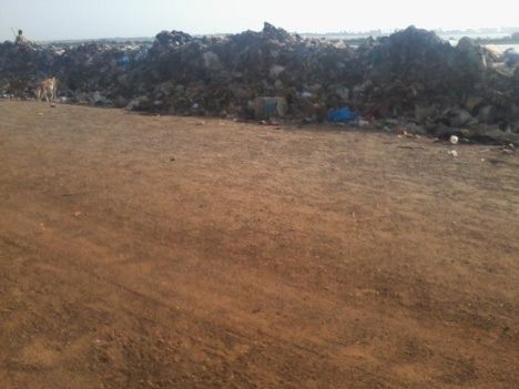 [PHOTOS] Danger: Une armée d'ordures menace la population à Pikine Bas Sénégal
