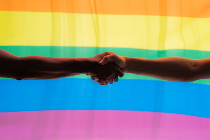 Stratégie de promotion et d'intégration des homosexuels: L'agenda machiavélique des LGBT