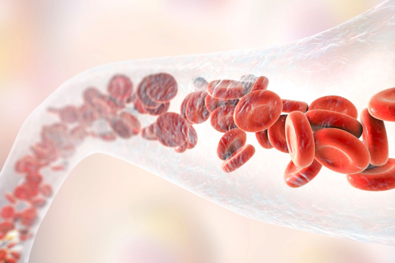 Sénégal : Près de 1800 enfants naissent avec la forme sévère de la drépanocytose