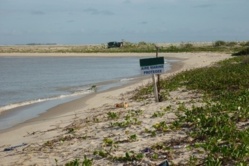 Environnement- Saint-Louis: A qui profite ce crime ? Environnement- Saint-Louis: A qui profite ce crime ?