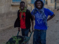 Pape Diop et Malick Ba, deux organisateurs de ce festival, en pleine reboisement.