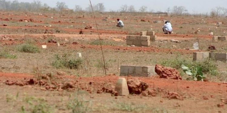 Boulimie foncière : un ex-Receveur des Domaines possède 315 terrains