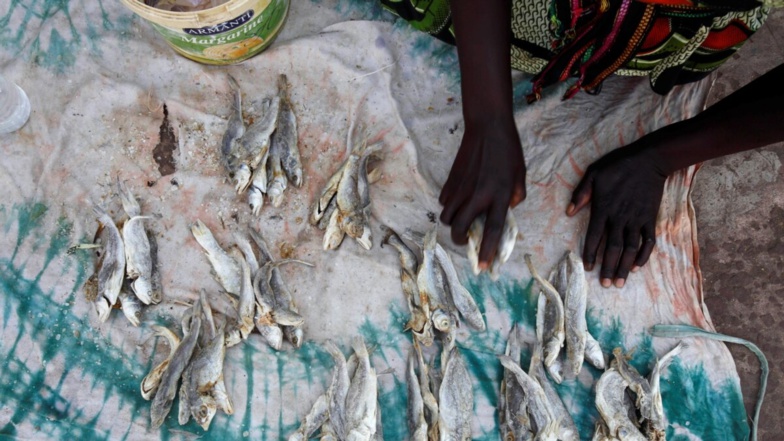 Prolifération des usines farines de poisson : Greenpeace lance une nouvelle alerte Prolifération des usines farines de poisson : Greenpeace lance une nouvelle alerte