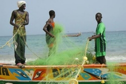 Pêche: Repos biologique d'un mois. Pêche: Repos biologique d'un mois.
