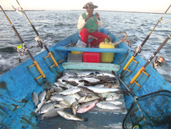 La CNUDM a été signée sans concertation avec la pêche artisanale (acteur)