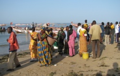 Une étude a identifié l'ensemble des problèmes de la pêche (officiel)