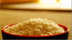 Riz importé en Afrique : une chaîne alimentaire juteuse