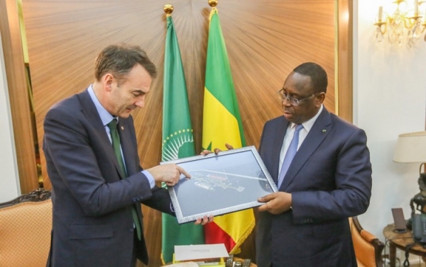 Exploitation de la Grande Tortue Ahmeyim : Dakar et Nouakchott pas contents de BP