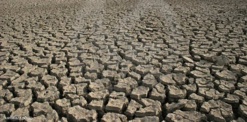 Sénégal - Infertilité des terres: Des experts flétrissent l'exploitation à outrance. Sénégal - Infertilité des terres: Des experts flétrissent l'exploitation à outrance.