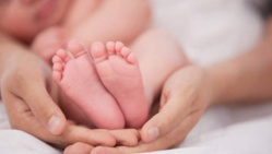 L'Allemagne légalise un troisième genre L'Allemagne légalise un troisième genre