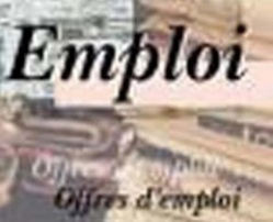 Un rapport fait état de 37.114 contrats de travail déclarés en 2012