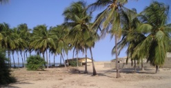 Colère dans le Gandiolais : des populations s’insurgent contre un « scandale foncier ». Colère dans le Gandiolais : des populations s’insurgent contre un « scandale foncier ».