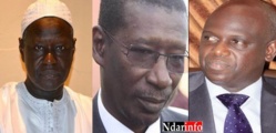 APR Saint-Louis - Locales 2014: qui incarne le "bon choix"  ?