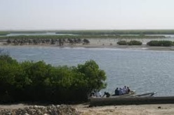 Isolée de tout, l’Île à Morphil veut sortir la tête de l’eau