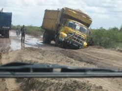Isolée de tout, l’Île à Morphil veut sortir la tête de l’eau Isolée de tout, l’Île à Morphil veut sortir la tête de l’eau