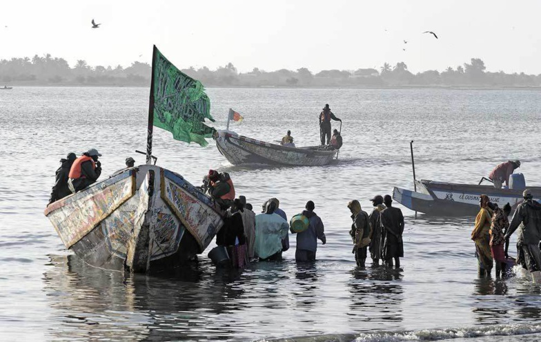 Exploitation gazière et pétrolière : Près de 600 mille acteurs de la pêche menacés