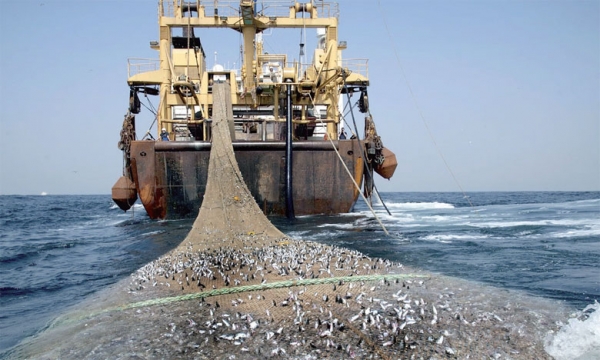 Licences de pêche : 120 navires opèrent officiellement au Sénégal