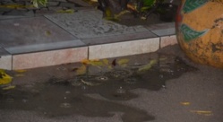 Une fine pluie tombe sur Saint-Louis.