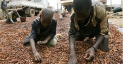 Travail précoce: 2,7 millions d’enfants actifs au Sénégal Travail précoce: 2,7 millions d’enfants actifs au Sénégal