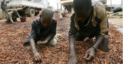 Travail précoce: 2,7 millions d’enfants actifs au Sénégal
