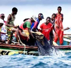 Matam : la longue agonie de la pêche fluviale