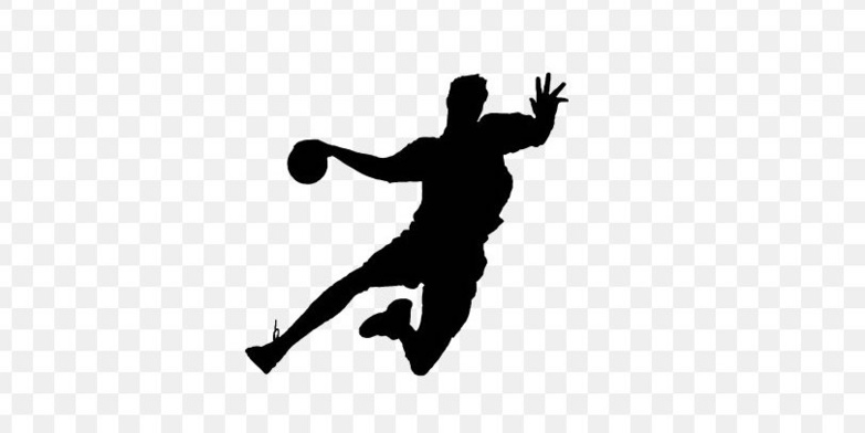 Handball : l’équipe de Saint-Louis "n'a pas de carburant" et risque de rater son match de demain à Dakar. Handball : l’équipe de Saint-Louis "n'a pas de carburant" et risque de rater son match de demain à Dakar.