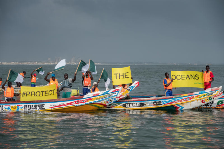 Accords de pèche: Choquée, Greenpeace répond à Me Aïssata Tall Sall