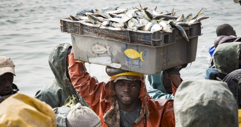 Le Sénégal renouvelle son accord de pêche avec la Guinée Bissau