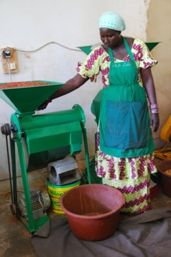 Transformation des céréales locales : Green Sénégal forme 12 femmes de Thiès et de Saint-Louis