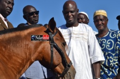 Saint-Louis - Assainissement : Mansour Faye offre 5 chevaux aux Gie Cetom. Saint-Louis - Assainissement : Mansour Faye offre 5 chevaux aux Gie Cetom.