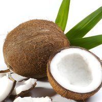 Les bienfaits de l'eau de coco Les bienfaits de l'eau de coco