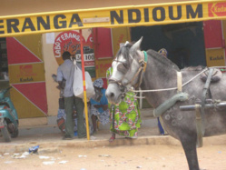 Le Mouvement des Jeunes  Républicains de  Ndioum renouvelle sa confiance à Dr Cheikh Oumar de l’APROSI