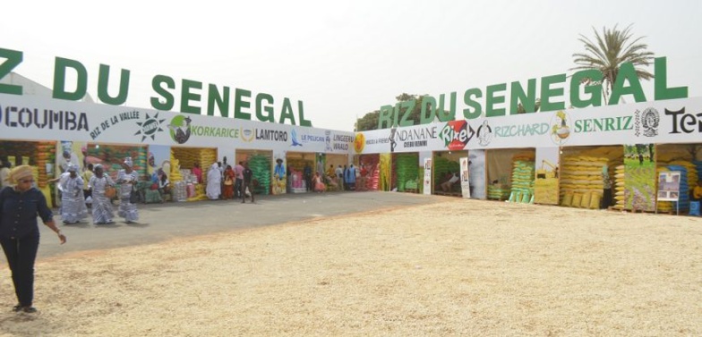 Subvention annoncée du riz paddy : Optimisme chez les acteurs de la chaine de valeur locale Subvention annoncée du riz paddy : Optimisme chez les acteurs de la chaine de valeur locale