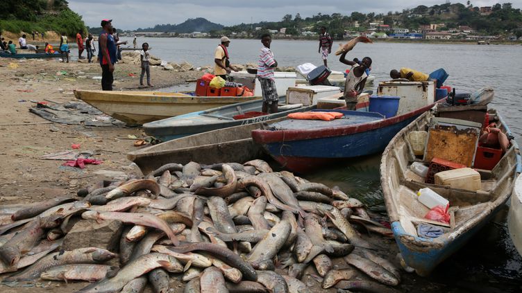 Le Gabon veut nationaliser la pêche maritime artisanale, contrôlée à 86 % par des acteurs étrangers