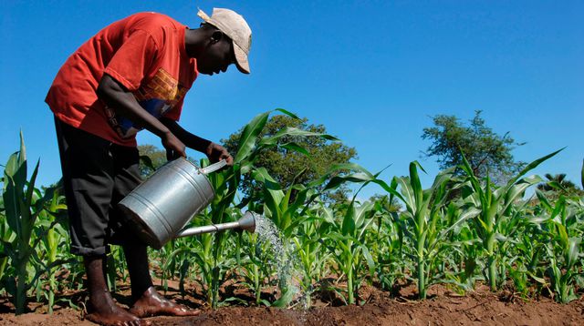 Au Sénégal, la crainte de la panne de nappe Au Sénégal, la crainte de la panne de nappe
