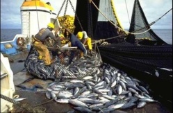 Révision des accords de peche avec la Mauritanie: l'invite des pêcheurs Saint-louisiens aux autorités.