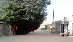 OPINION: Pikine BAS-SÉNÉGAL en danger.
