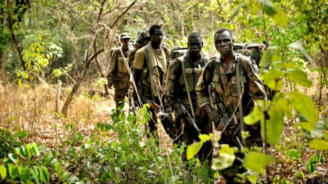 Casamance : Encore une attaque armée, entre Badiouré et Bignona Casamance : Encore une attaque armée, entre Badiouré et Bignona